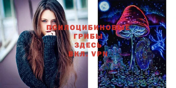 спиды Абаза
