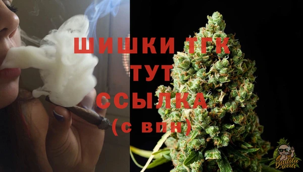 спиды Абаза