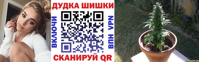 МАРИХУАНА планчик Приволжский